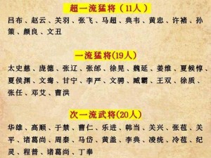 放开那国3蜀国武将排行大全揭秘：培养重点武将的攻略与指南