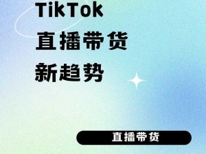 国外直播平台 tiktok 上的创意家居好物推荐