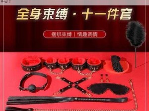 什么是 9 浅 1 深左 3 右 3 情趣用品，你了解吗？