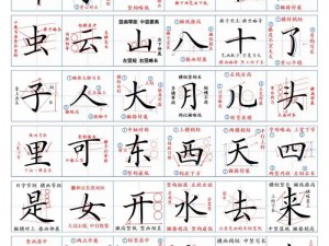 2019 中文字需大全规范：规范汉字书写，传承中华文化