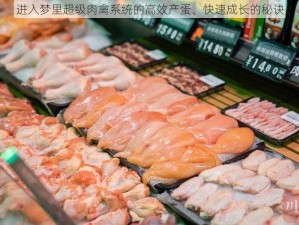 进入梦里超级肉禽系统的高效产蛋、快速成长的秘诀