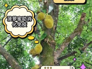 亚精产品一三三三菠萝蜜：精选优质菠萝蜜，口感鲜美，营养丰富