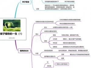 口袋植物资源获取秘籍详解：从种植到利用的全攻略指南