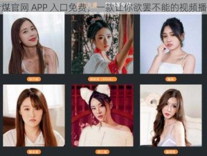 麻豆传煤官网 APP 入口免费，一款让你欲罢不能的视频播放神器