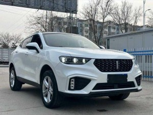 weyvv5 国产的 suv，颜值与实力并存，性价比超高