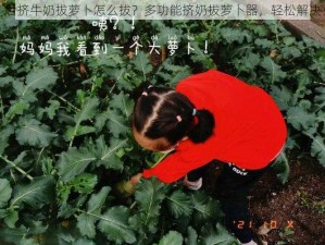 后挤牛奶拔萝卜怎么拔？多功能挤奶拔萝卜器，轻松解决