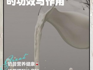 营养丰富的高品质牛奶和新鲜美味的 b 类食品