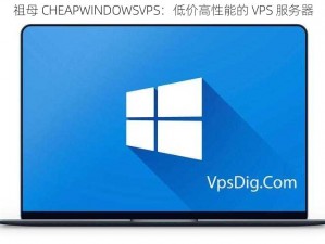 祖母 CHEAPWINDOWSVPS：低价高性能的 VPS 服务器