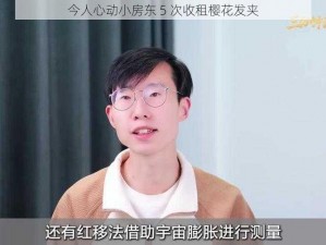 今人心动小房东 5 次收租樱花发夹