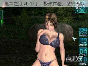 电车之狼 VR 补丁：极致体验，激情无限