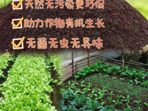 草榴是什么：绿色、环保、无异味的新型建筑材料