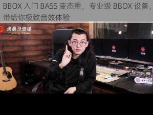 BBOX 入门 BASS 变态重，专业级 BBOX 设备，带给你极致音效体验