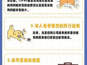 狗狗卡在我里面多久能拉出来？揭秘这款神奇的产品