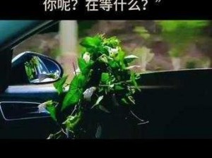 久久在热照片免费大放送，你还在等什么？