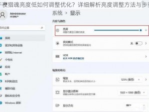 午夜猎魂亮度低如何调整优化？详细解析亮度调整方法与步骤