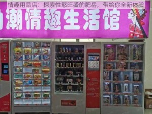 情趣用品店：探索性慾旺盛的肥岳，带给你全新体验