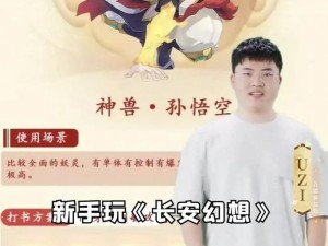 琅琊榜手游蒙挚全方位解析：技能缘分阵容搭配与洗炼全攻略