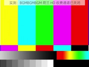 实测：BGMBGMBGM 荷兰 HD 收费通道已关闭