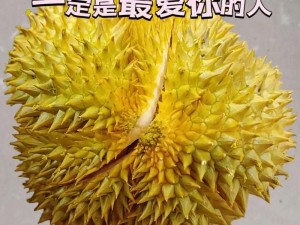 免费榴莲视频，无广告，不收费，让你尽享榴莲的美味与乐趣