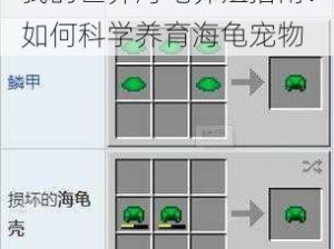 我的世界海龟养殖指南：如何科学养育海龟宠物