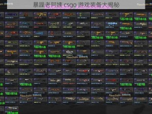 暴躁老阿姨 csgo 游戏装备大揭秘