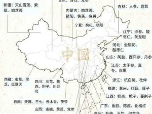 99 品一二三产区区别深度解析：探究不同产区的奥秘