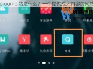 proumb 站是什么？一个提供成人内容的网站