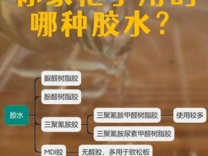 关于明日之后胶水的获取位置及分享的探讨：揭秘胶水隐藏之地