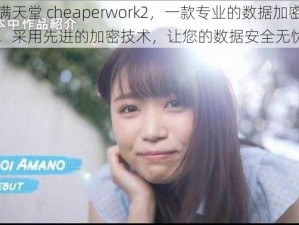 禁满天堂 cheaperwork2，一款专业的数据加密软件，采用先进的加密技术，让您的数据安全无忧