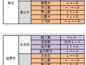 国战纪风云再起：赵云坠地招式的奥秘与使用指南