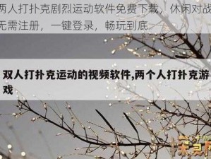 两人打扑克剧烈运动软件免费下载，休闲对战，无需注册，一键登录，畅玩到底