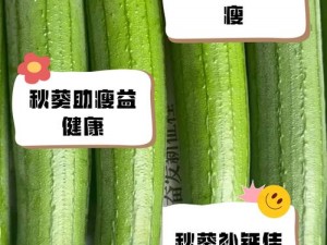 秋葵茄子丝瓜草莓榴莲大全，四季通用绿色健康蔬菜种子，营养丰富口感鲜美