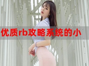 优质 RB 攻略系统 全文——游戏玩家必备秘籍