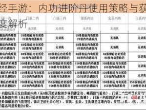 阴真经手游：内功进阶丹使用策略与获取途径深度解析