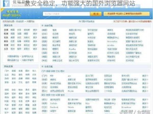 一款安全稳定、功能强大的国外浏览器网站