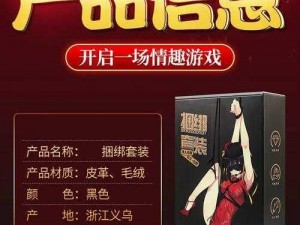 李宗瑞滚床单时使用的情趣用品介绍