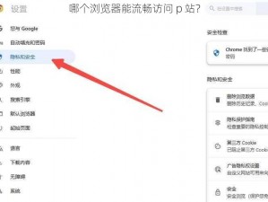 哪个浏览器能流畅访问 p 站？