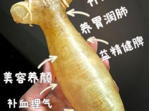 人和动物胶配方的视频大全一：揭秘各种胶类配方，制作独特手工艺品