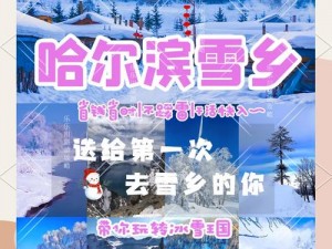 冰雪奇缘：职业深度解析与选择指南