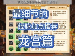 梦幻西游手游平民龙宫玩法指引