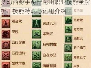 梦幻西游手游普陀山职业技能全解析：技能特点与运用介绍