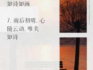 雨后初晴文学网，提供丰富的小说、散文、诗歌等文学作品，让你享受阅读的乐趣