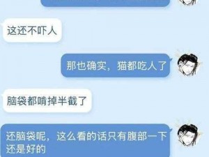 沙雕日记重口娘娘图文攻略：解锁独特视角，探索趣味沙雕世界攻略手册