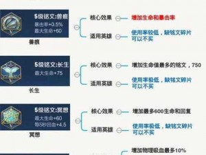 王者荣耀肉盾坦克英雄铭文搭配指南：通用铭文推荐与策略详解