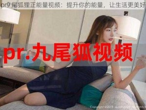 pr9 尾狐狸正能量视频：提升你的能量，让生活更美好