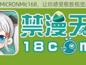 天堂 JMCOMICRONMIc168，让你感受极致视觉盛宴的魅力