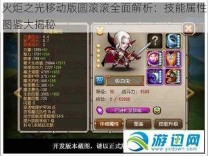 火炬之光移动版圆滚滚全面解析：技能属性图鉴大揭秘