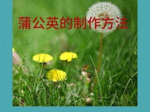 尘封故事中的神奇树屋：制作方法全解析