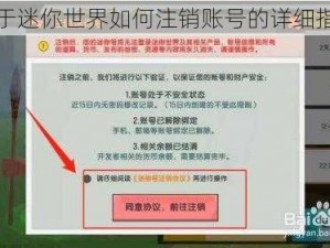 关于迷你世界如何注销账号的详细指南