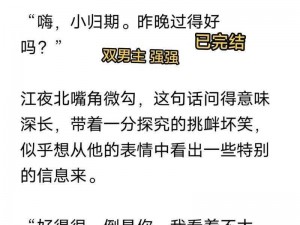 共感娃娃双男主：让你感受双重温暖的陪伴